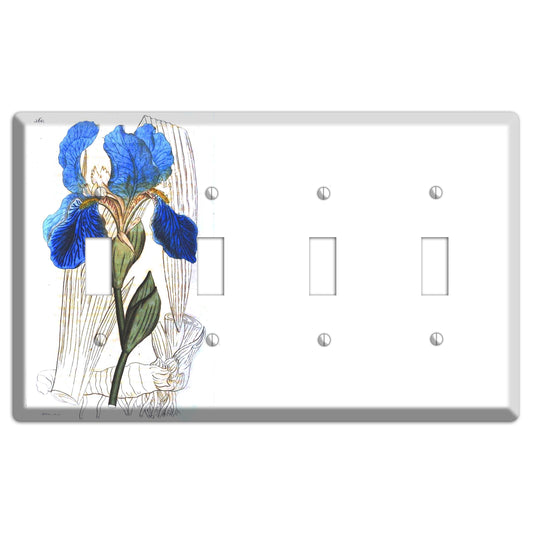 Blue Iris 4 Toggle Wallplate