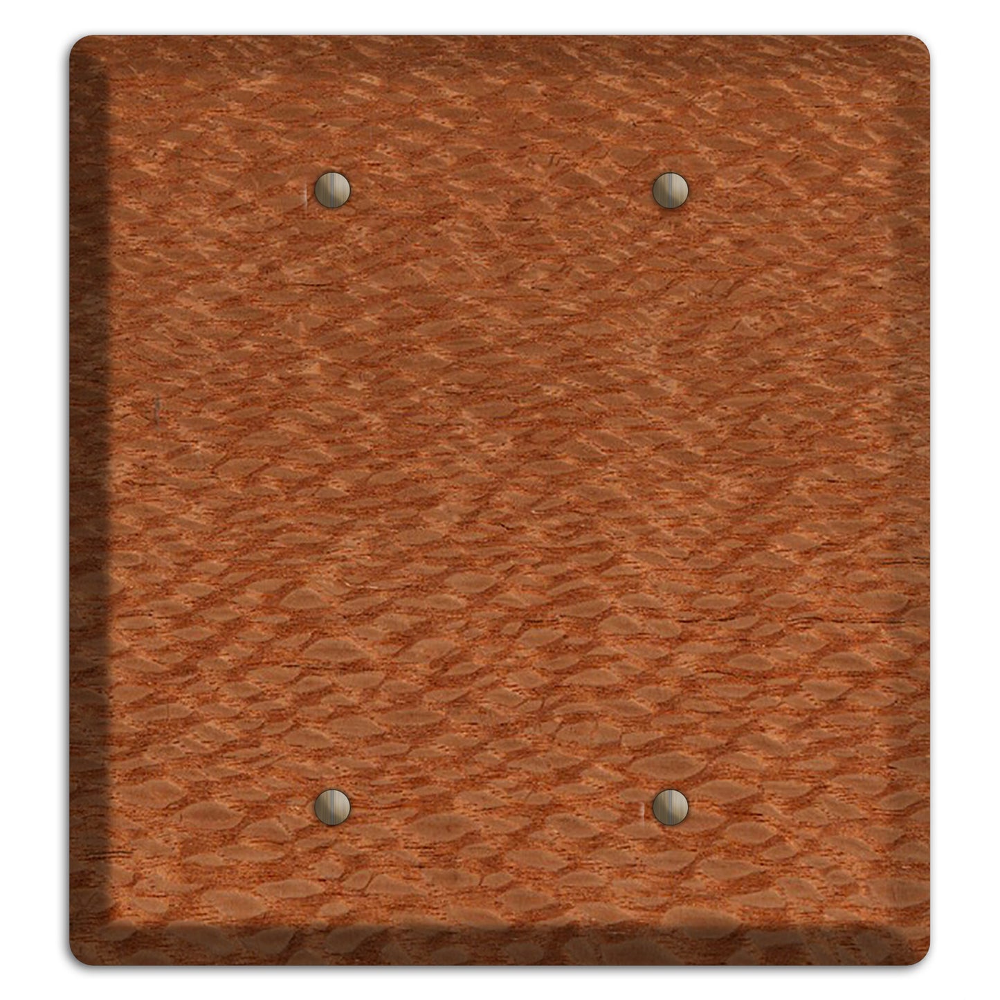 Lacewood Wood Double Blank Cover Plate