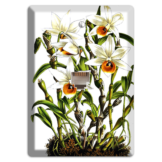 Dendrobium Phone Wallplate