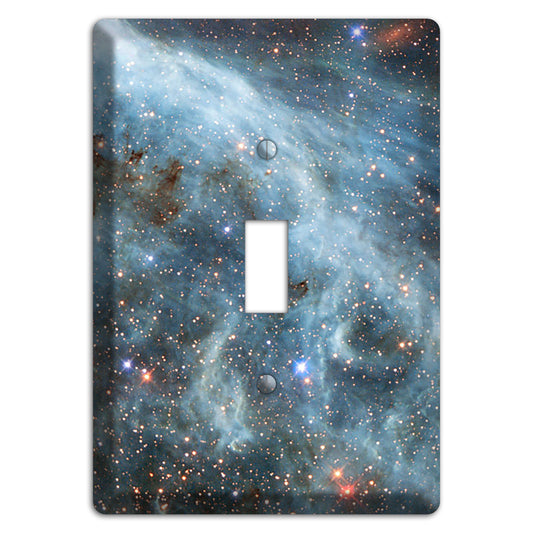 Magellanic Cloud Cover Plates