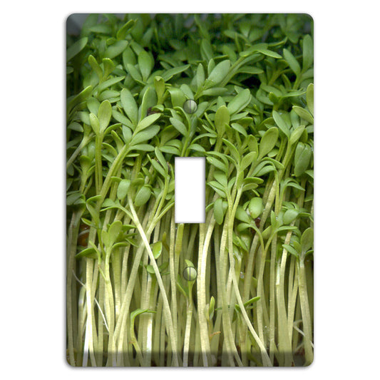 Sprouts Cover Plates