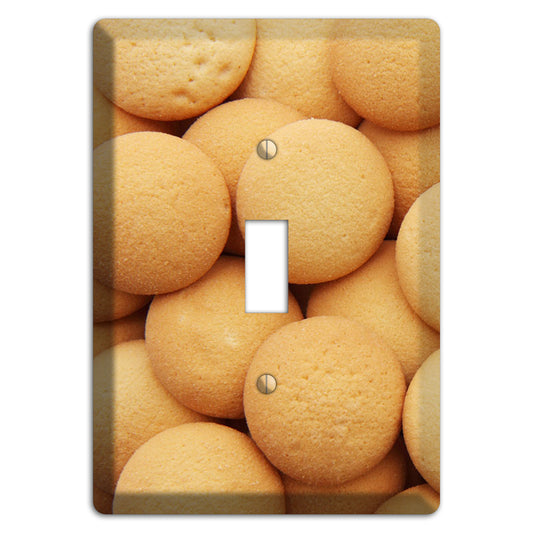 Wafers Cover Plates