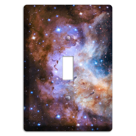 Westerlund 2 Cover Plates