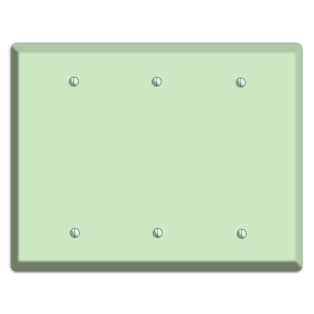 Baxter Mint 3 Blank Wallplate