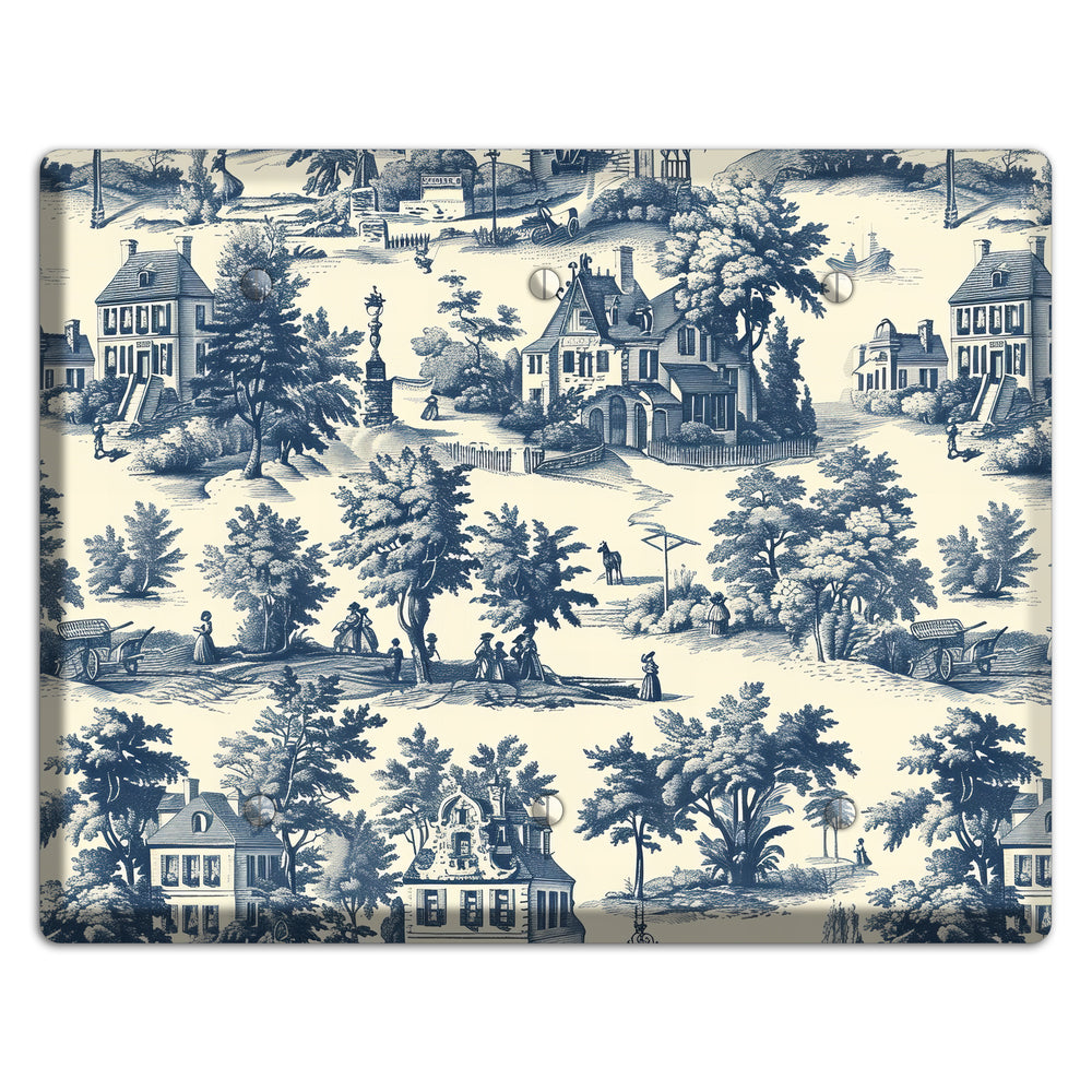 Village & Volley 3 Blank Wallplate