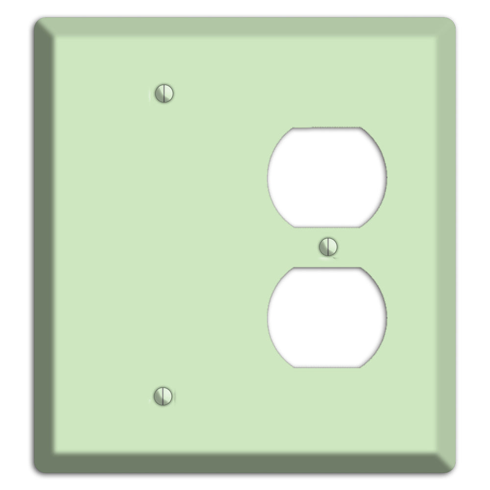 Baxter Mint Blank / Duplex Wallplate