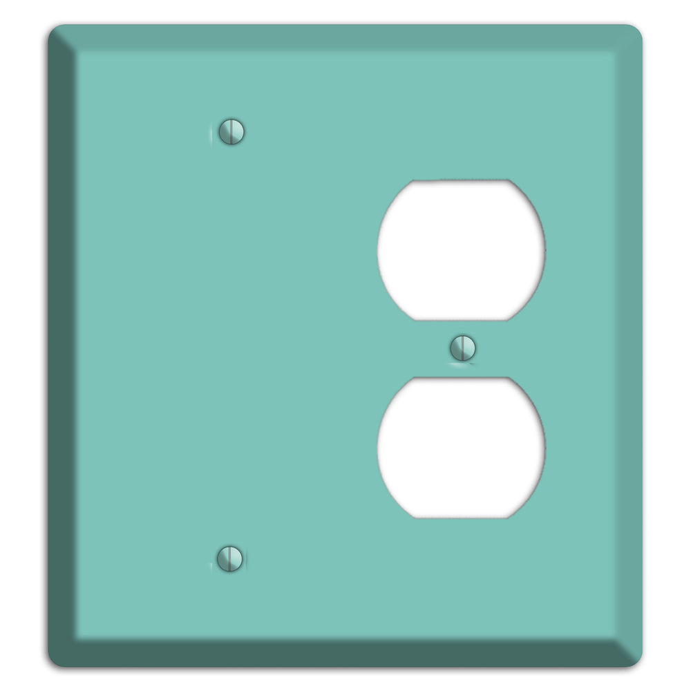 Baxter Seafoam Blank / Duplex Wallplate