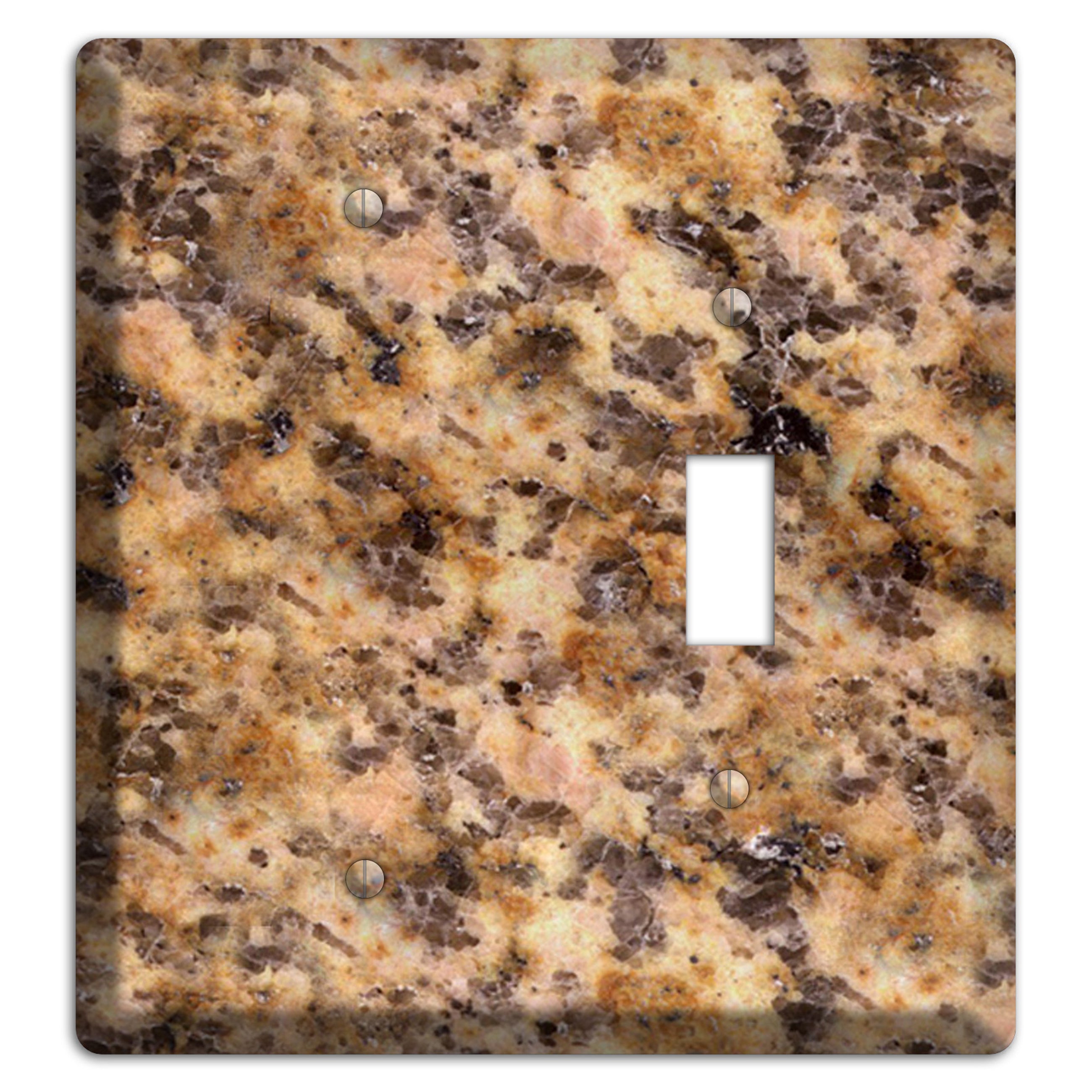 Lapidus Granite Blank / Toggle Wallplate