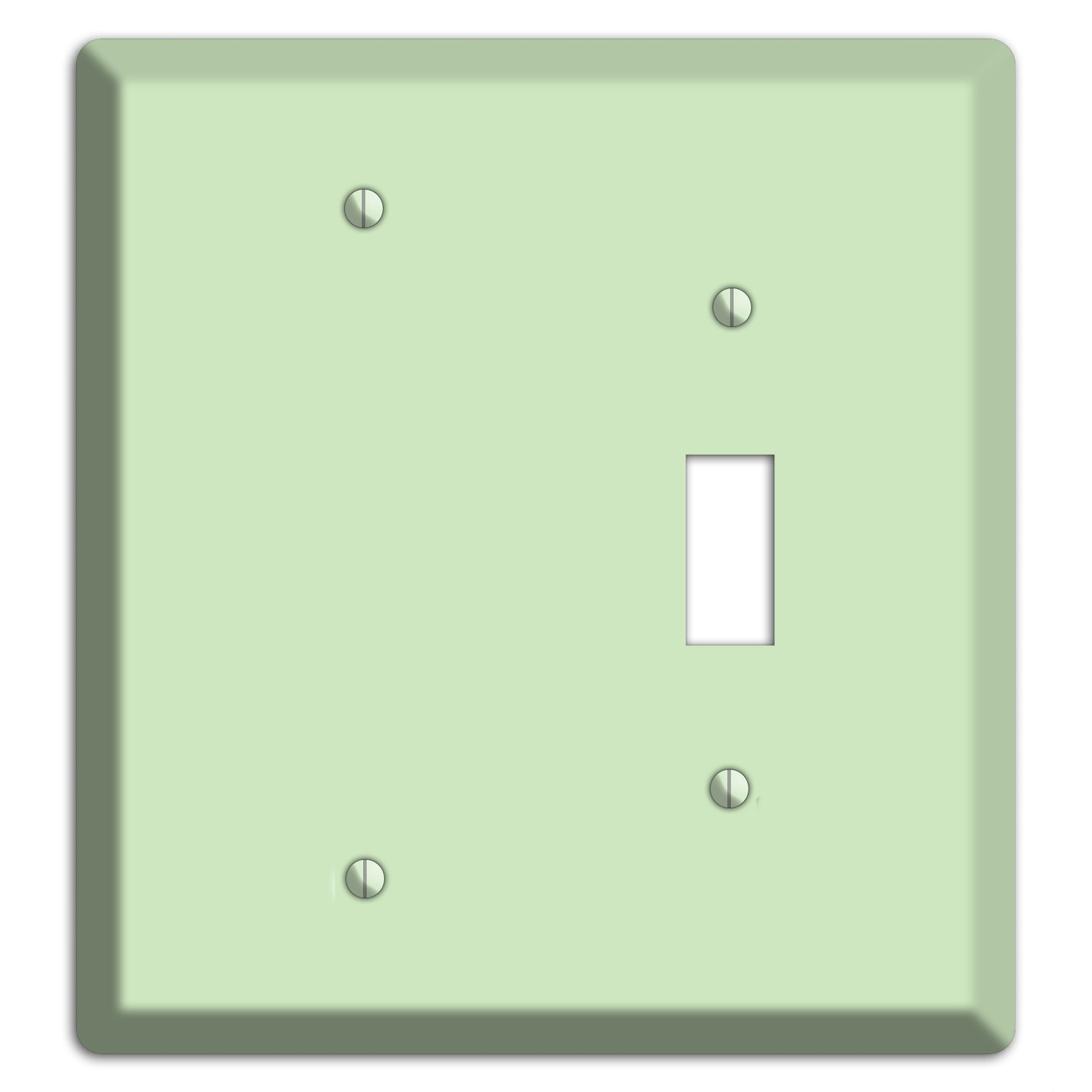 Baxter Mint Blank / Toggle Wallplate