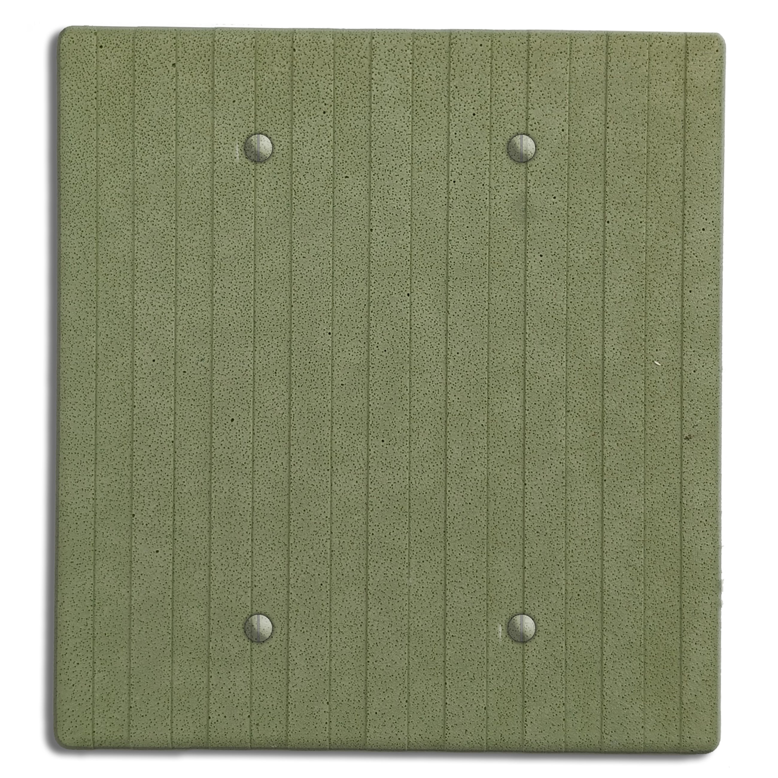 Sage Green Boho Stripes Double Blank Cover Plate