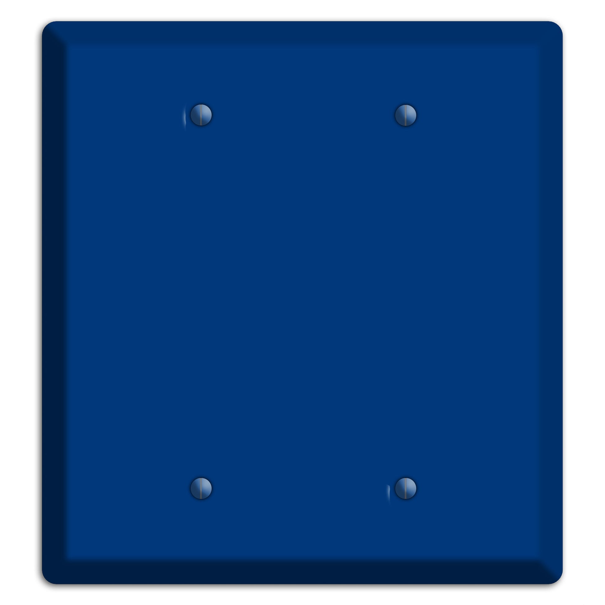 Baxter Simply Blue 2 Blank Wallplate