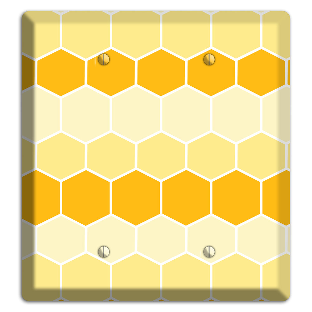 Golden Hollow Grid 2 Blank Wallplate