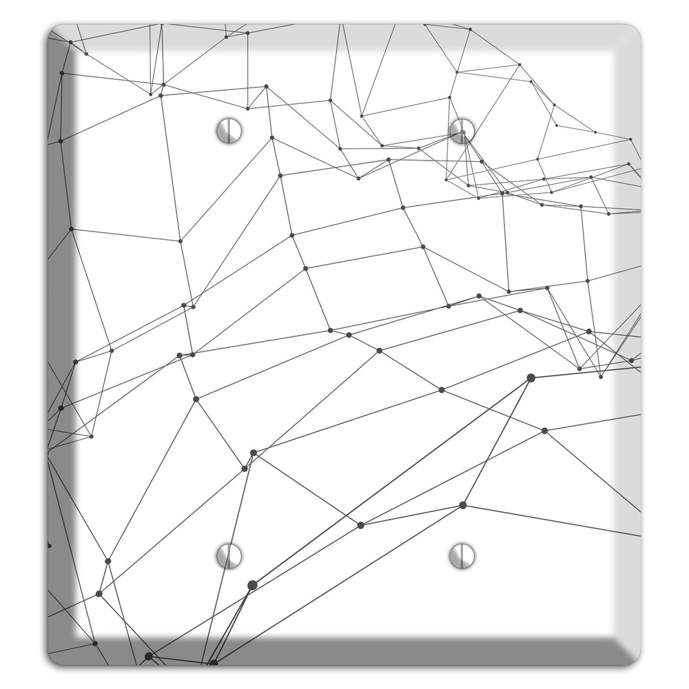 Woven Signal Web 2 Blank Wallplate