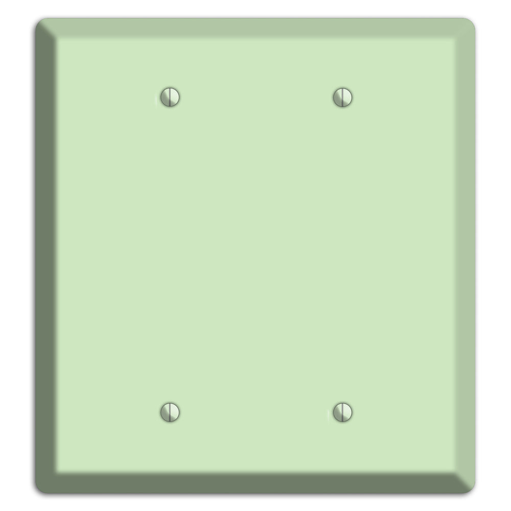 Baxter Mint 2 Blank Wallplate