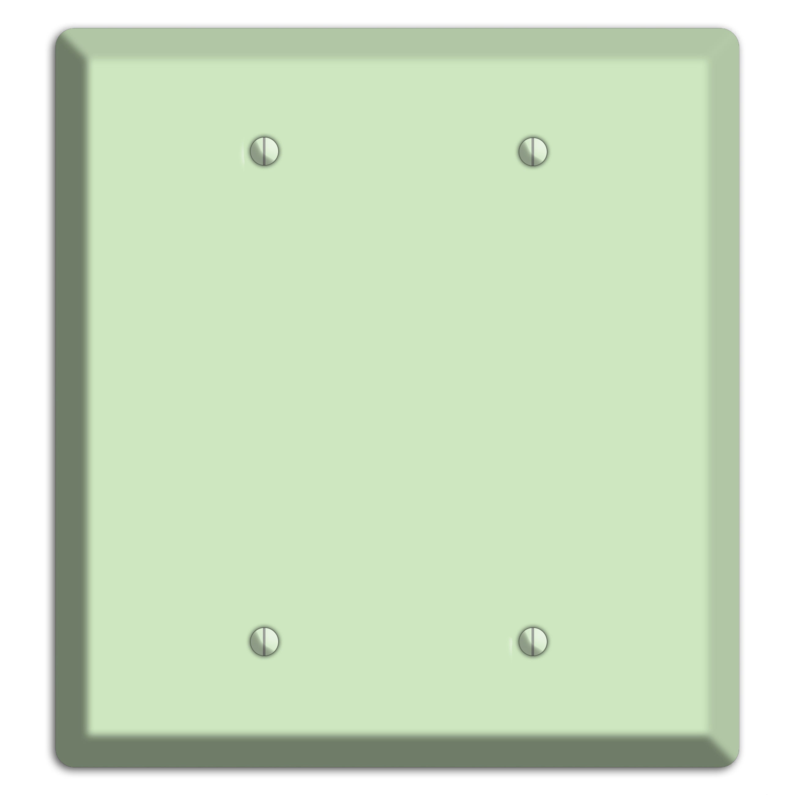 Baxter Mint 2 Blank Wallplate