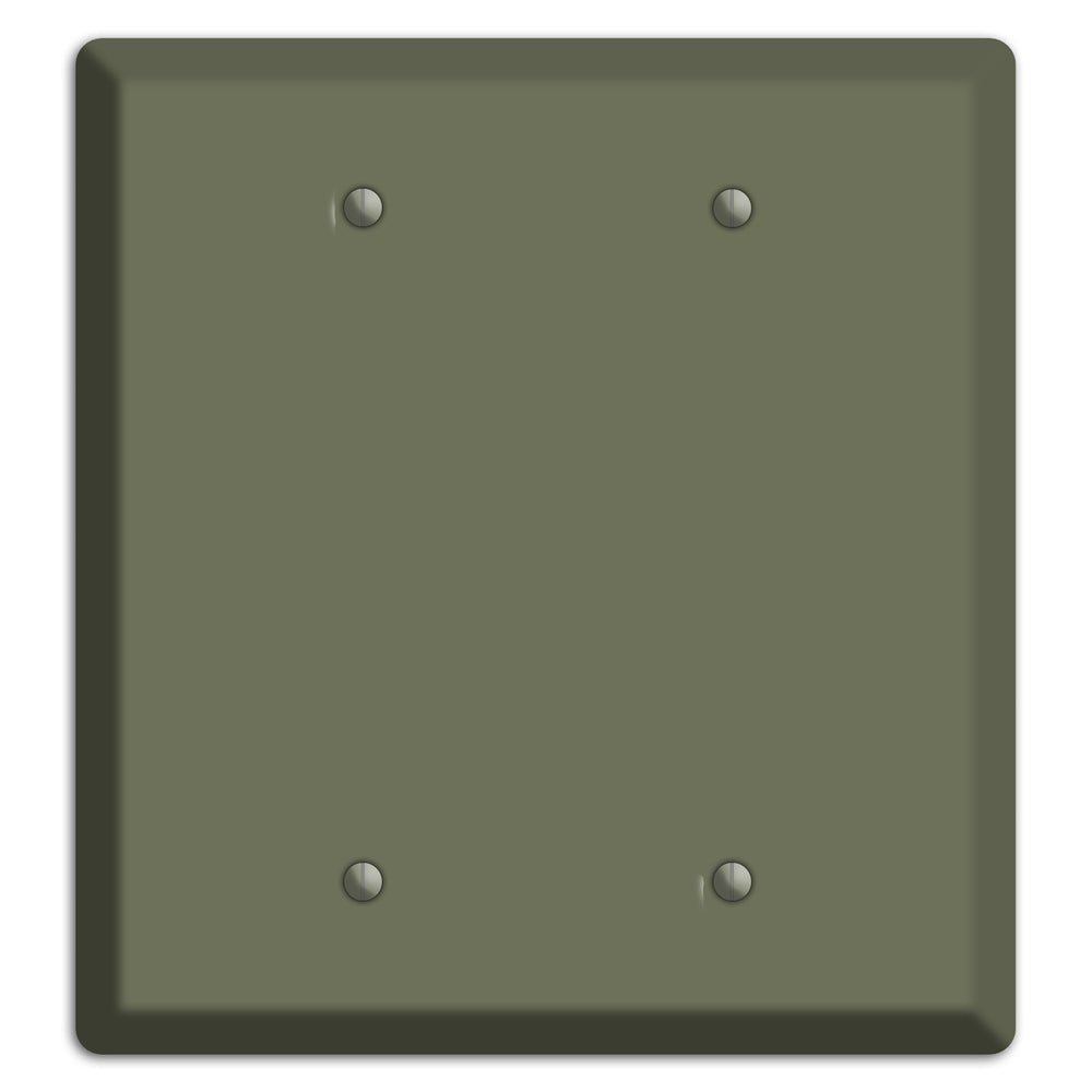 Baxter Eucalyptus 2 Blank Wallplate