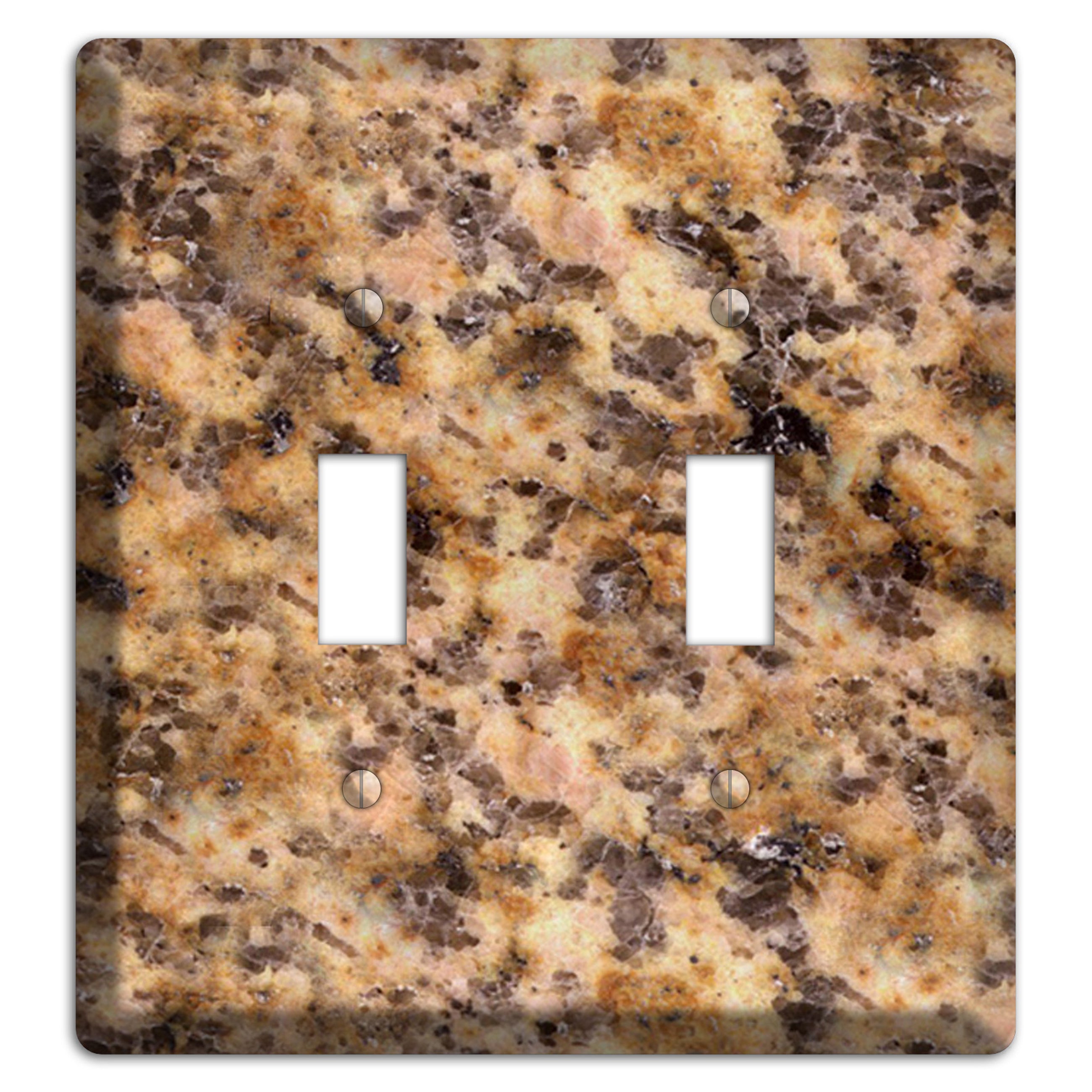 Lapidus Granite 2 Toggle Wallplate