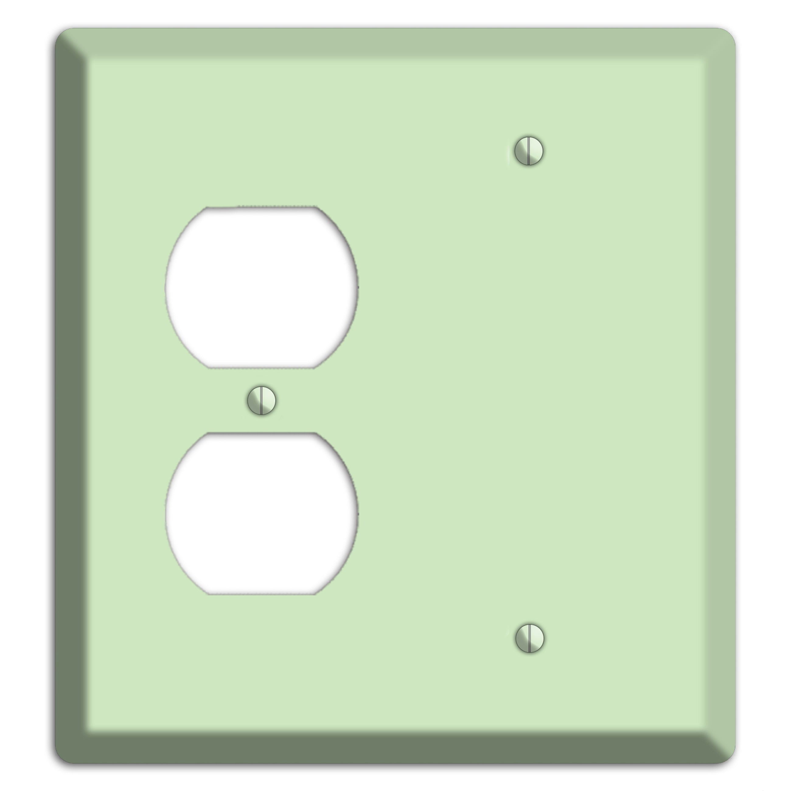 Baxter Mint Duplex / Blank Wallplate