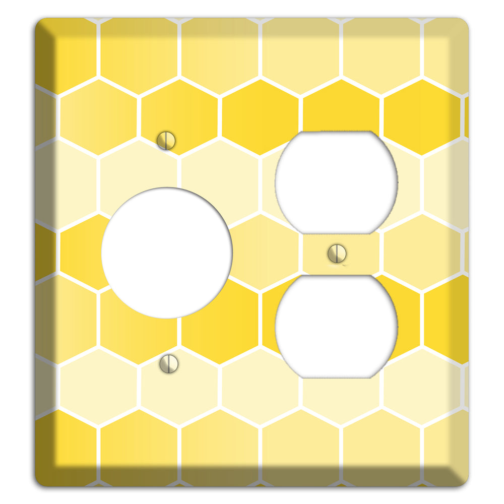 Golden Comb Drift Receptacle / Duplex Wallplate