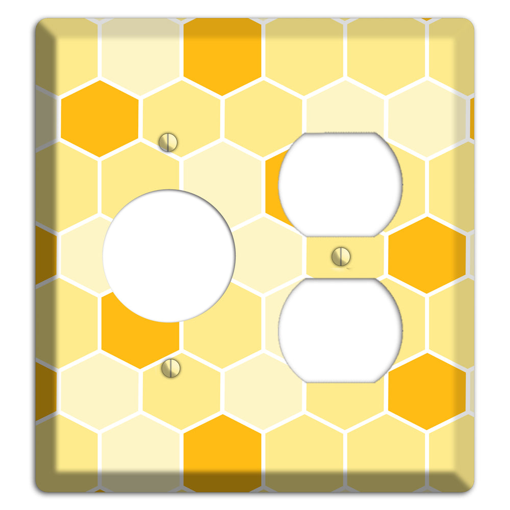 Honeycomb Harvest Receptacle / Duplex Wallplate