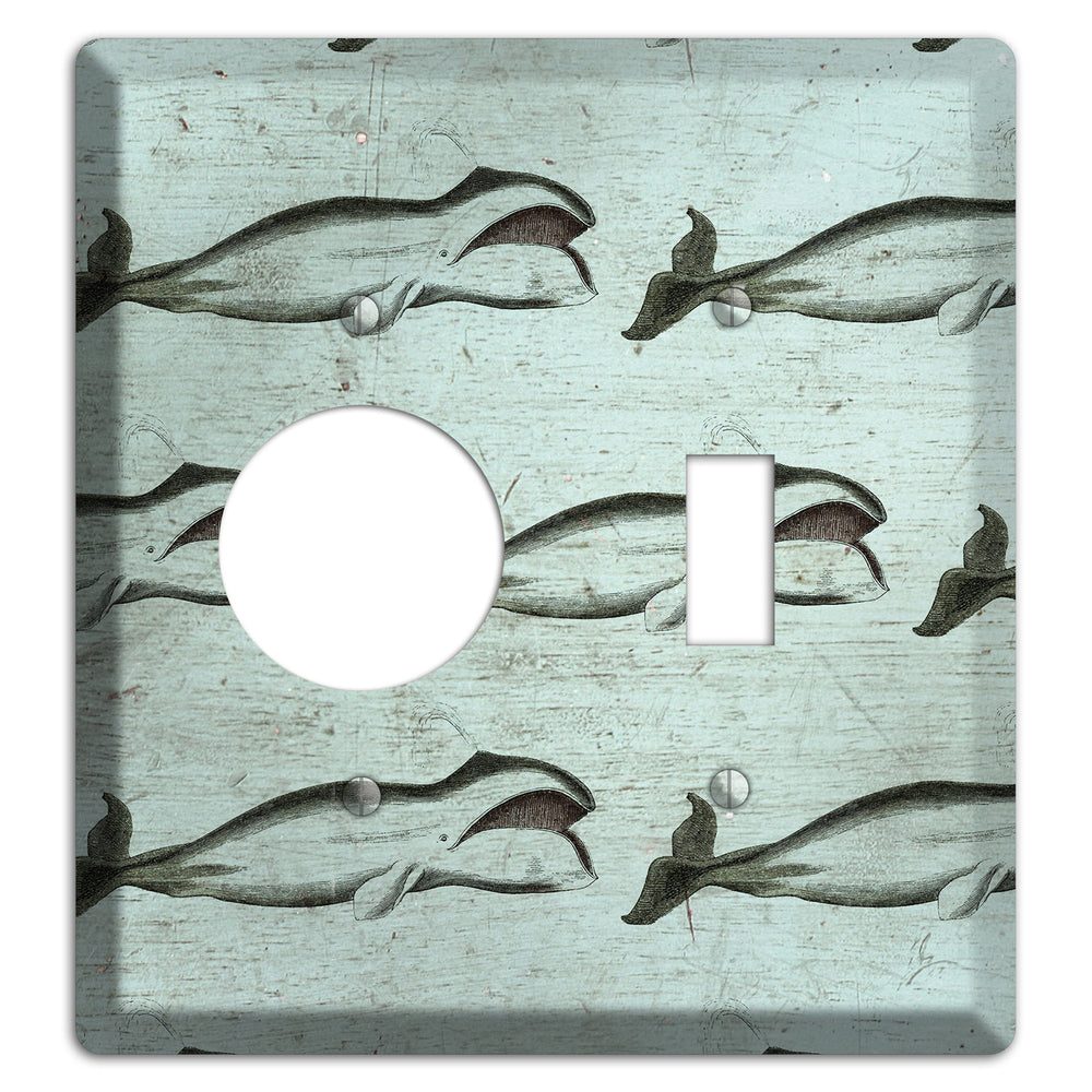 Whale Watch Receptacle / Toggle Wallplate
