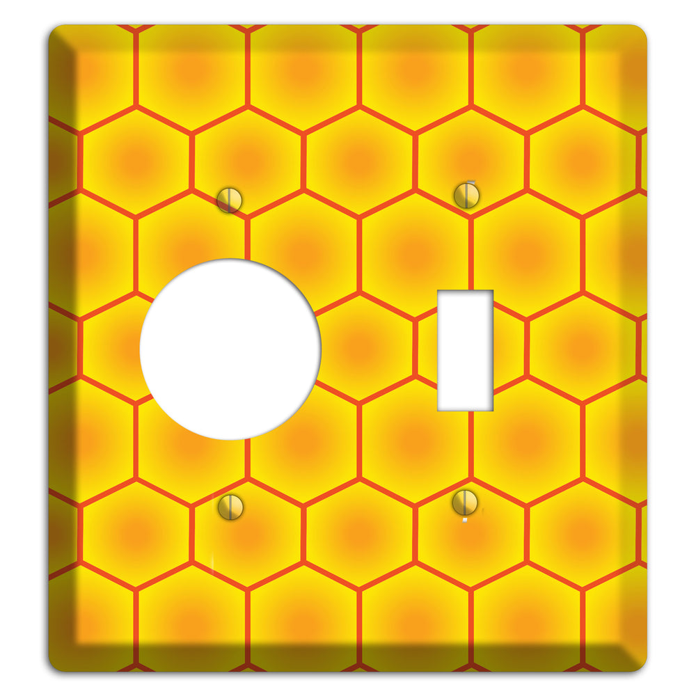 Golden Vault Cells Receptacle / Toggle Wallplate