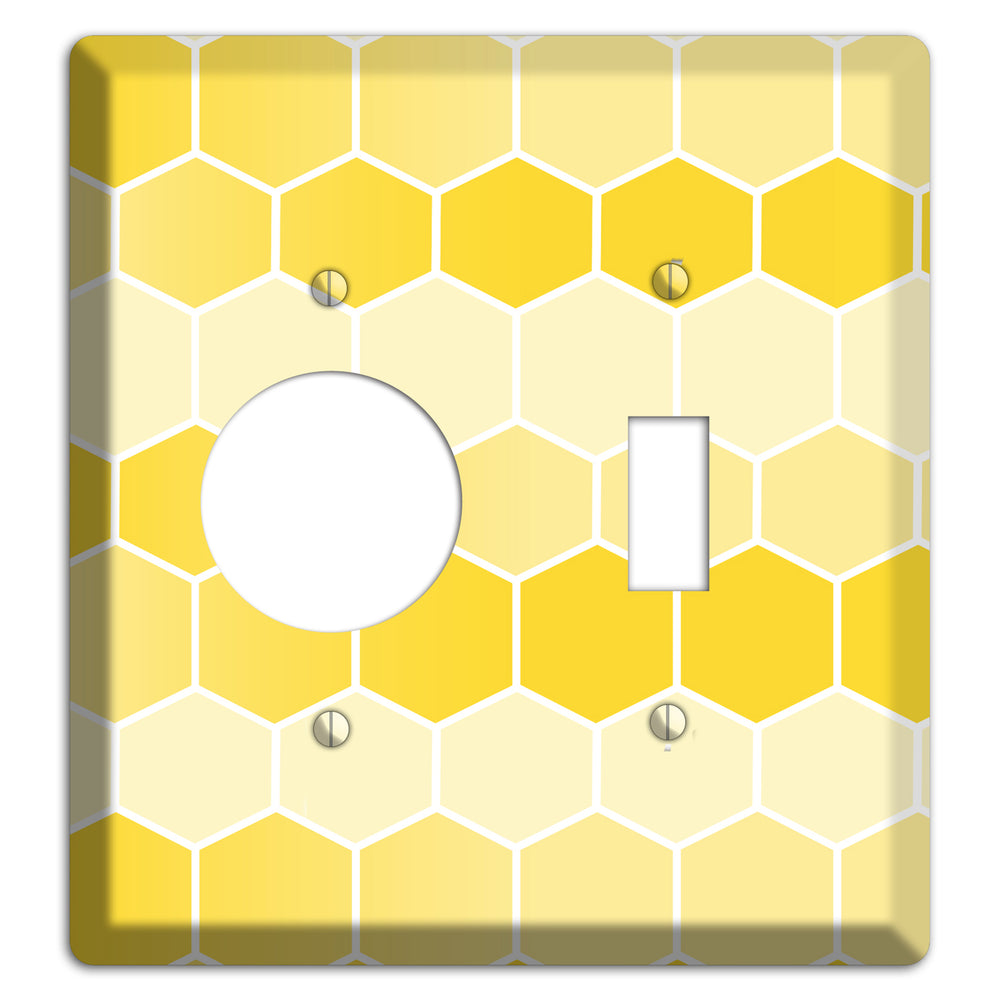 Golden Comb Drift Receptacle / Toggle Wallplate