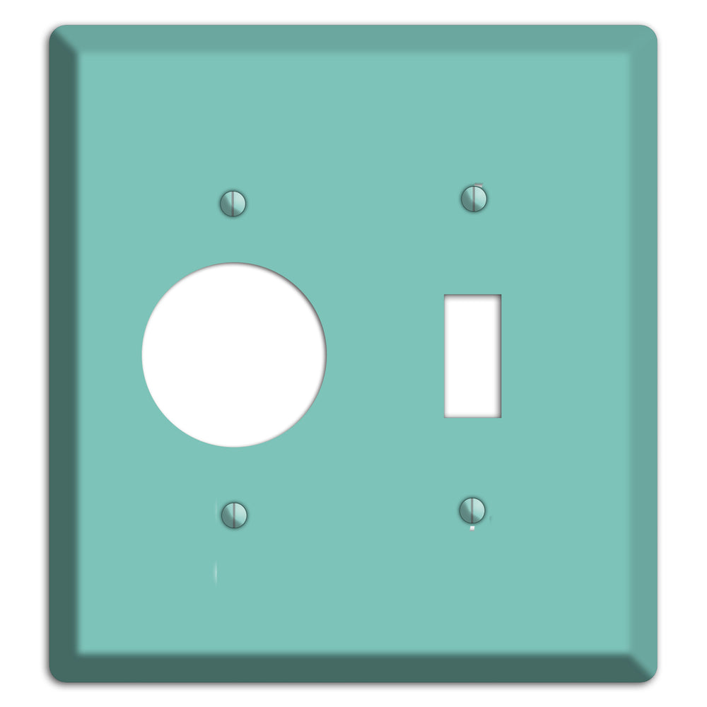 Baxter Seafoam Receptacle / Toggle Wallplate