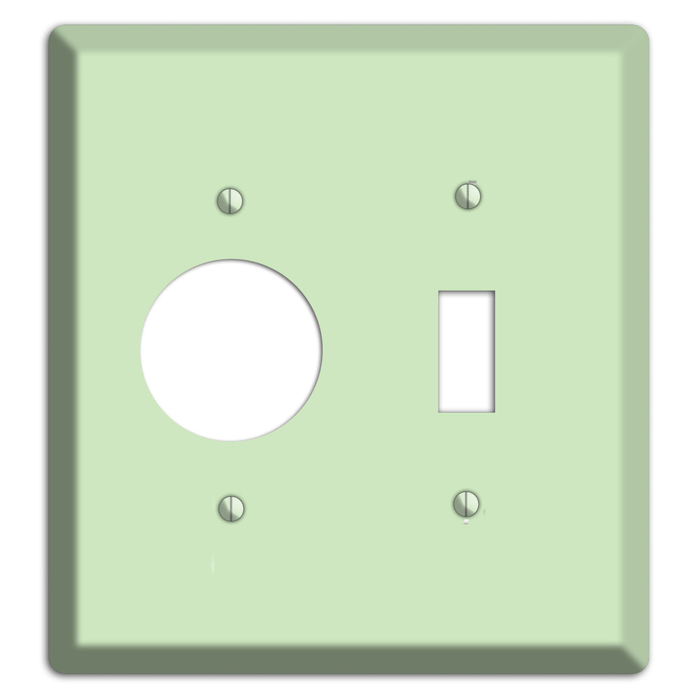 Baxter Mint Receptacle / Toggle Wallplate