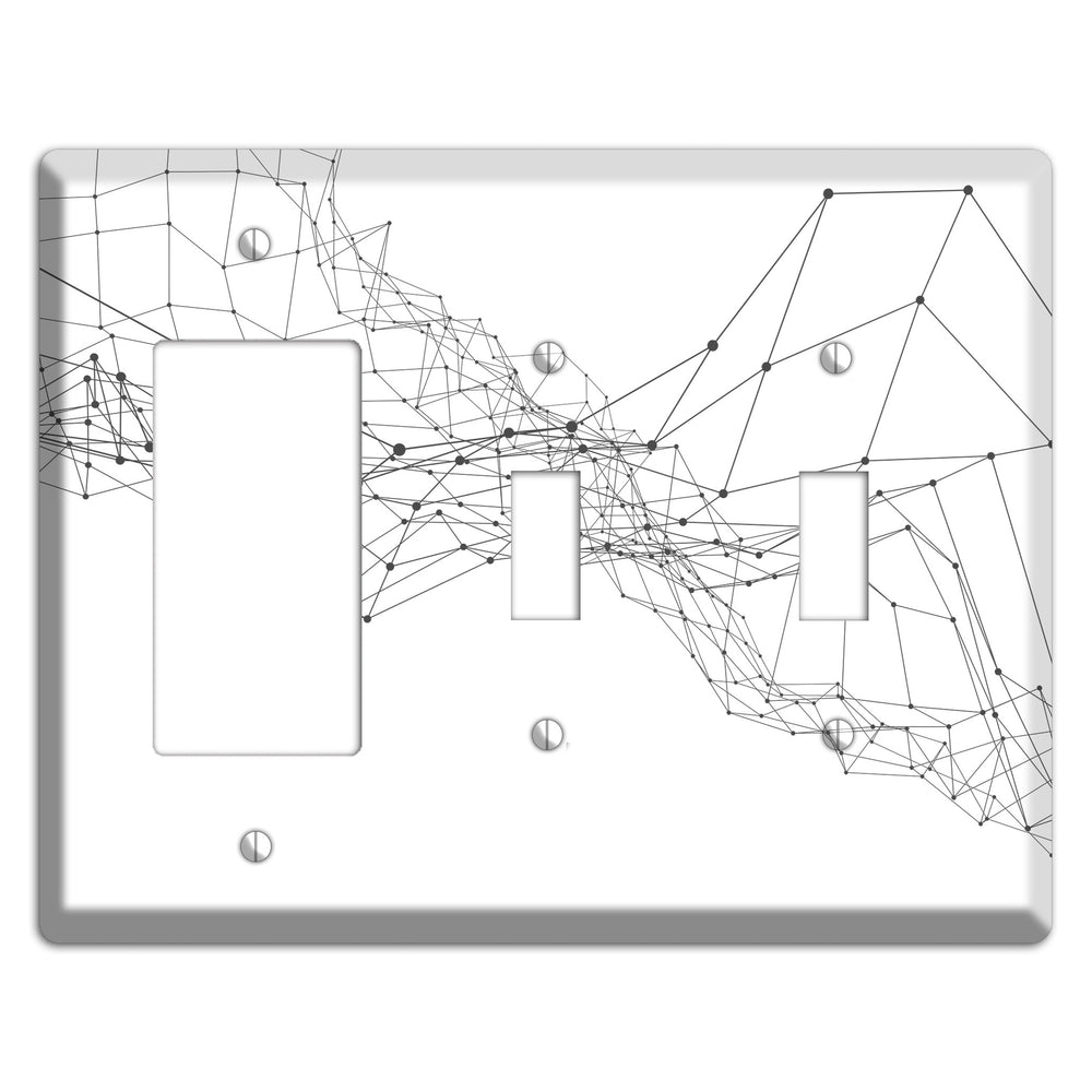 Drift Network Collapse Rocker / 2 Toggle Wallplate