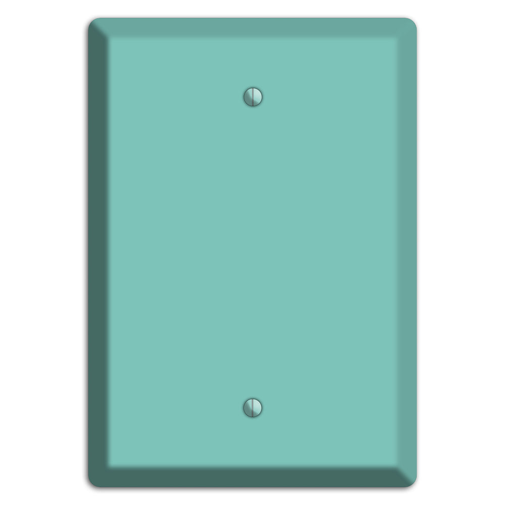Baxter Seafoam Blank Wallplate