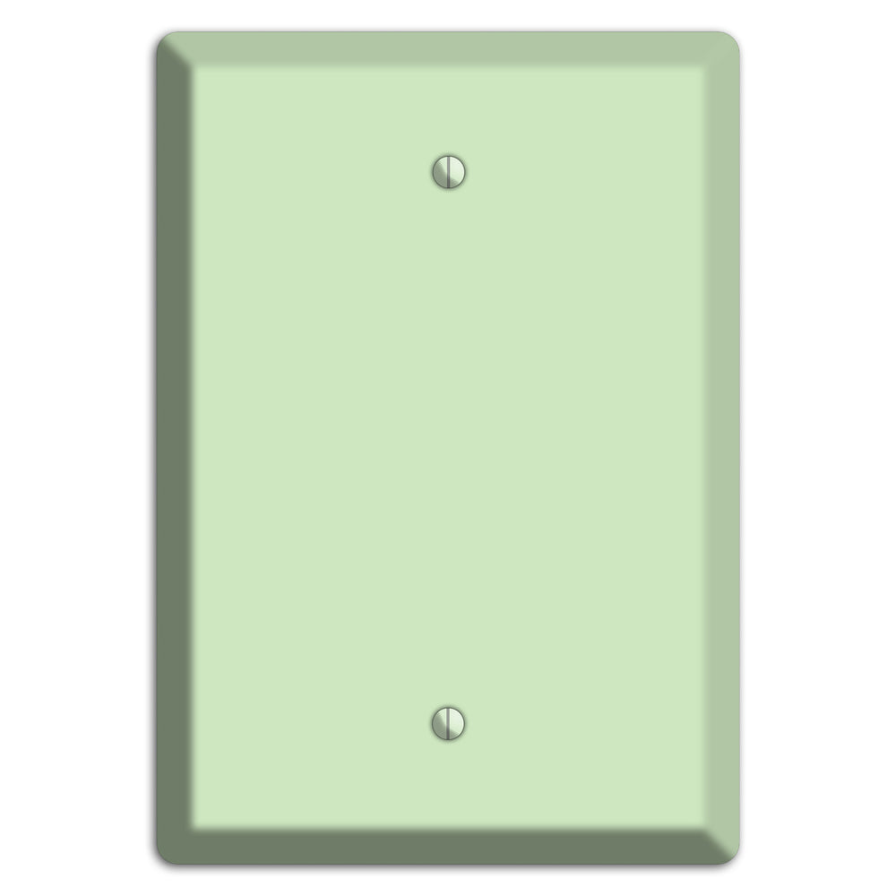 Baxter Mint Blank Wallplate