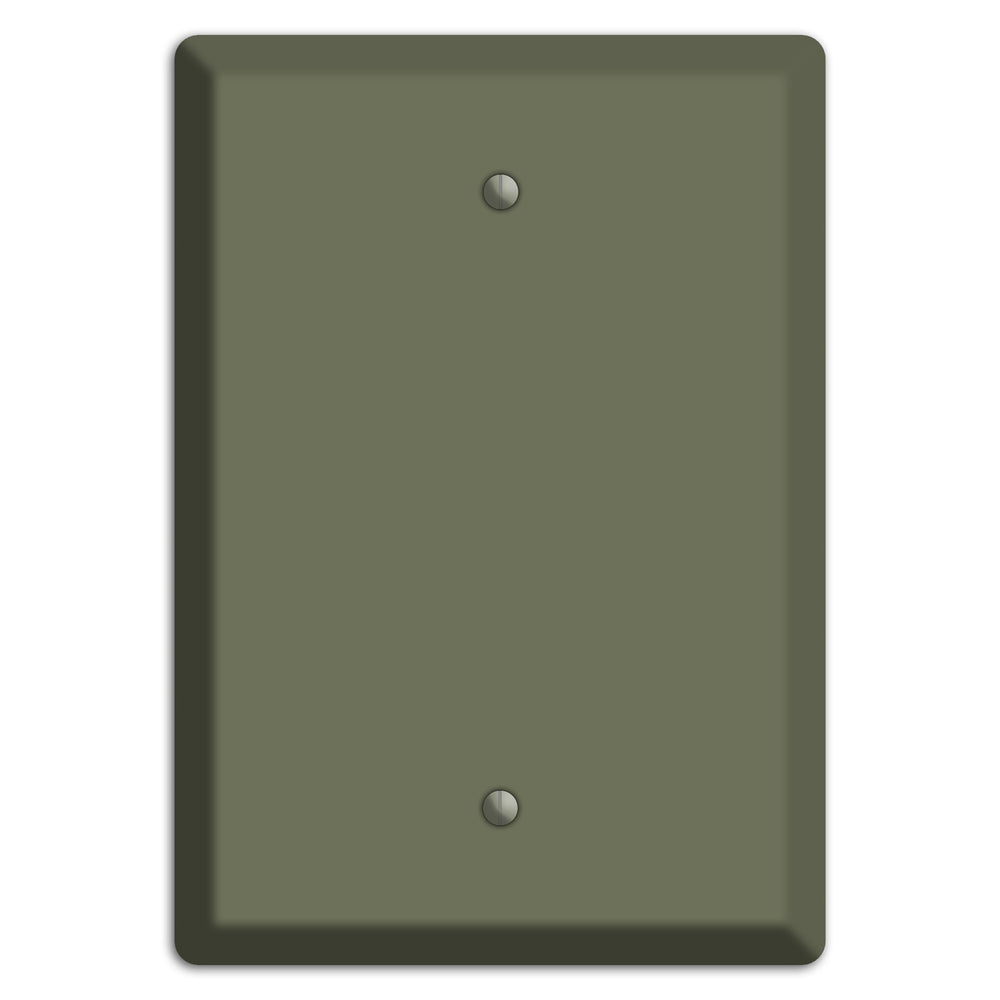 Baxter Eucalyptus Blank Wallplate