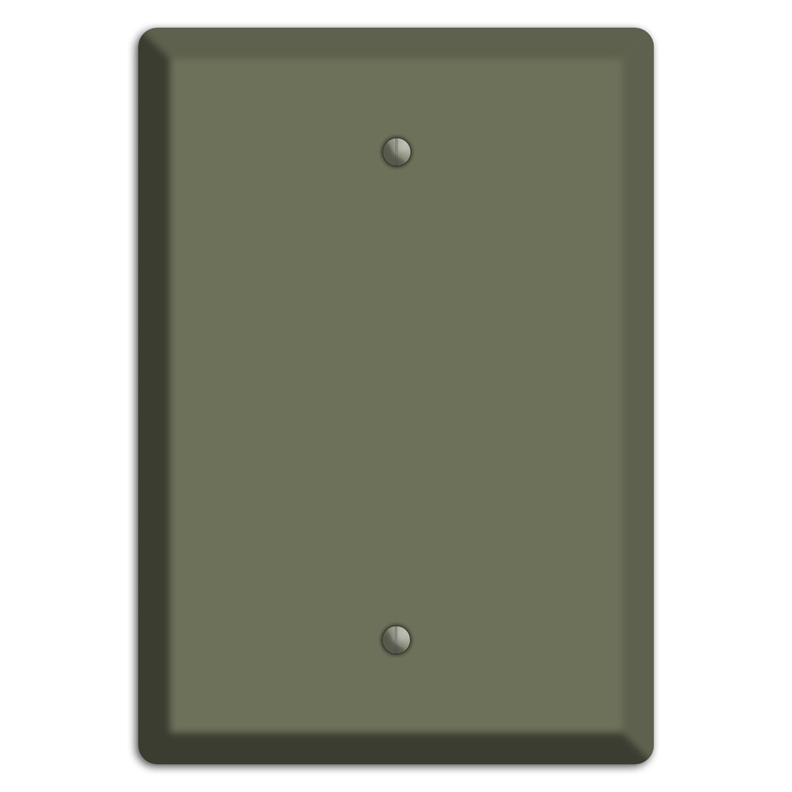 Baxter Eucalyptus Blank Wallplate