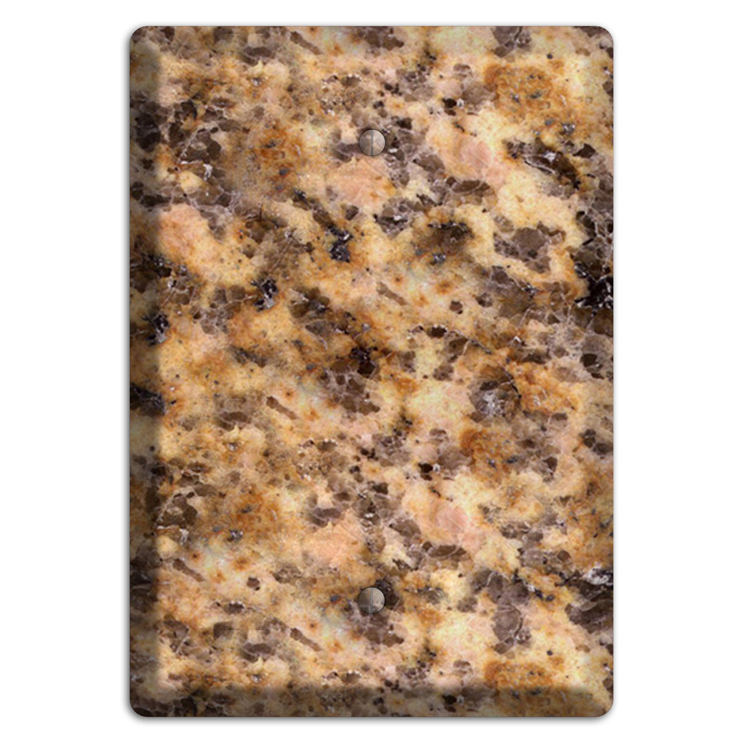 Lapidus Granite Blank Wallplate