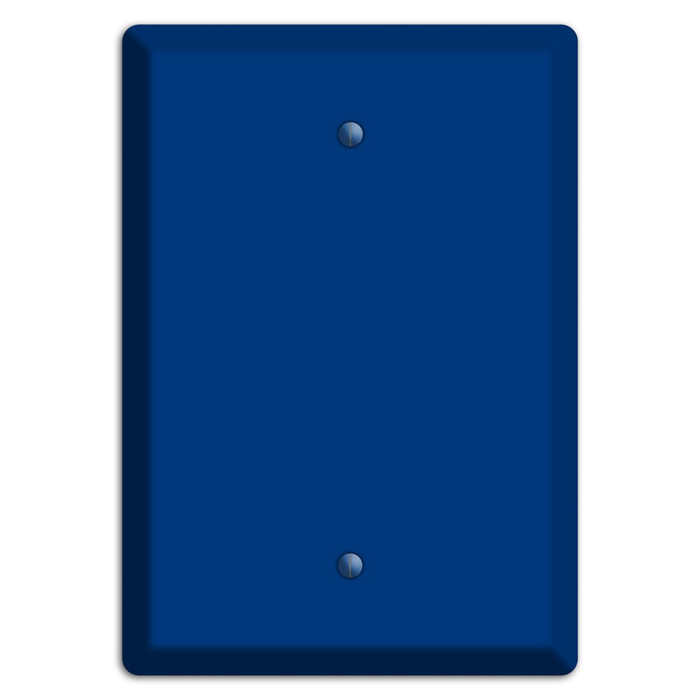 Baxter Simply Blue Blank Wallplate
