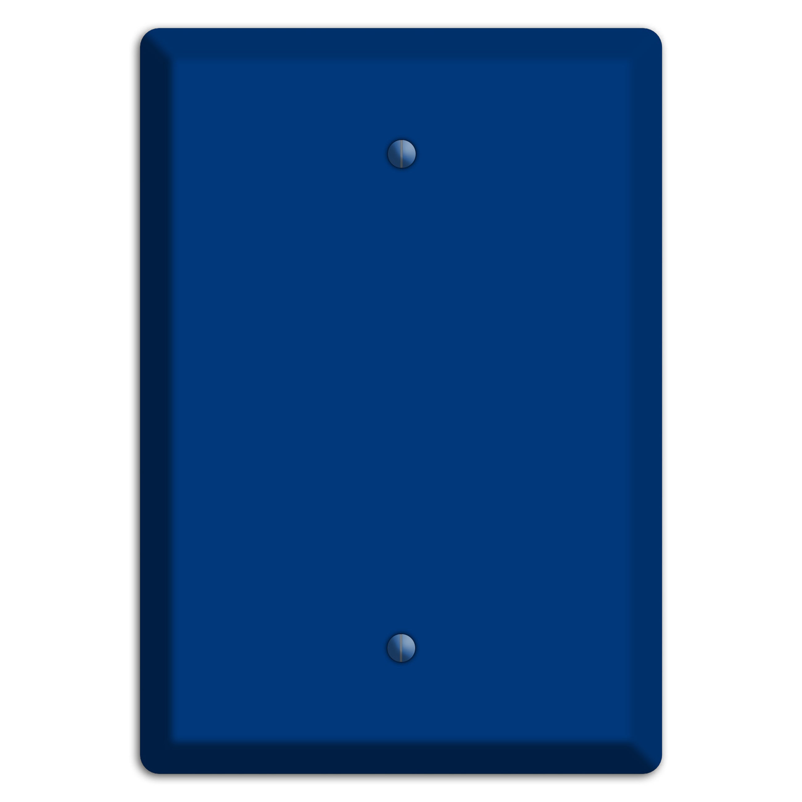 Baxter Simply Blue Blank Wallplate