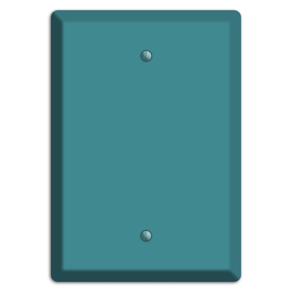 Baxter Turqouise Blank Wallplate