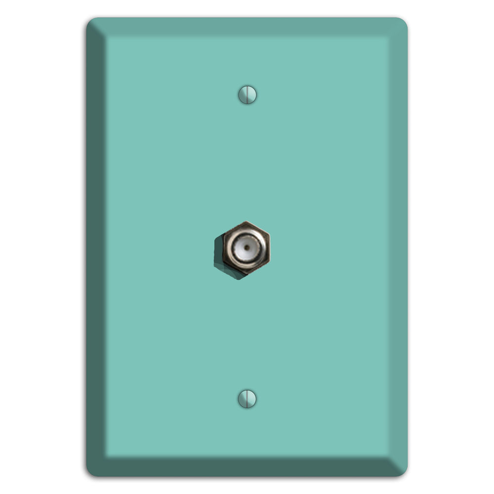Baxter Seafoam Cable Wallplate