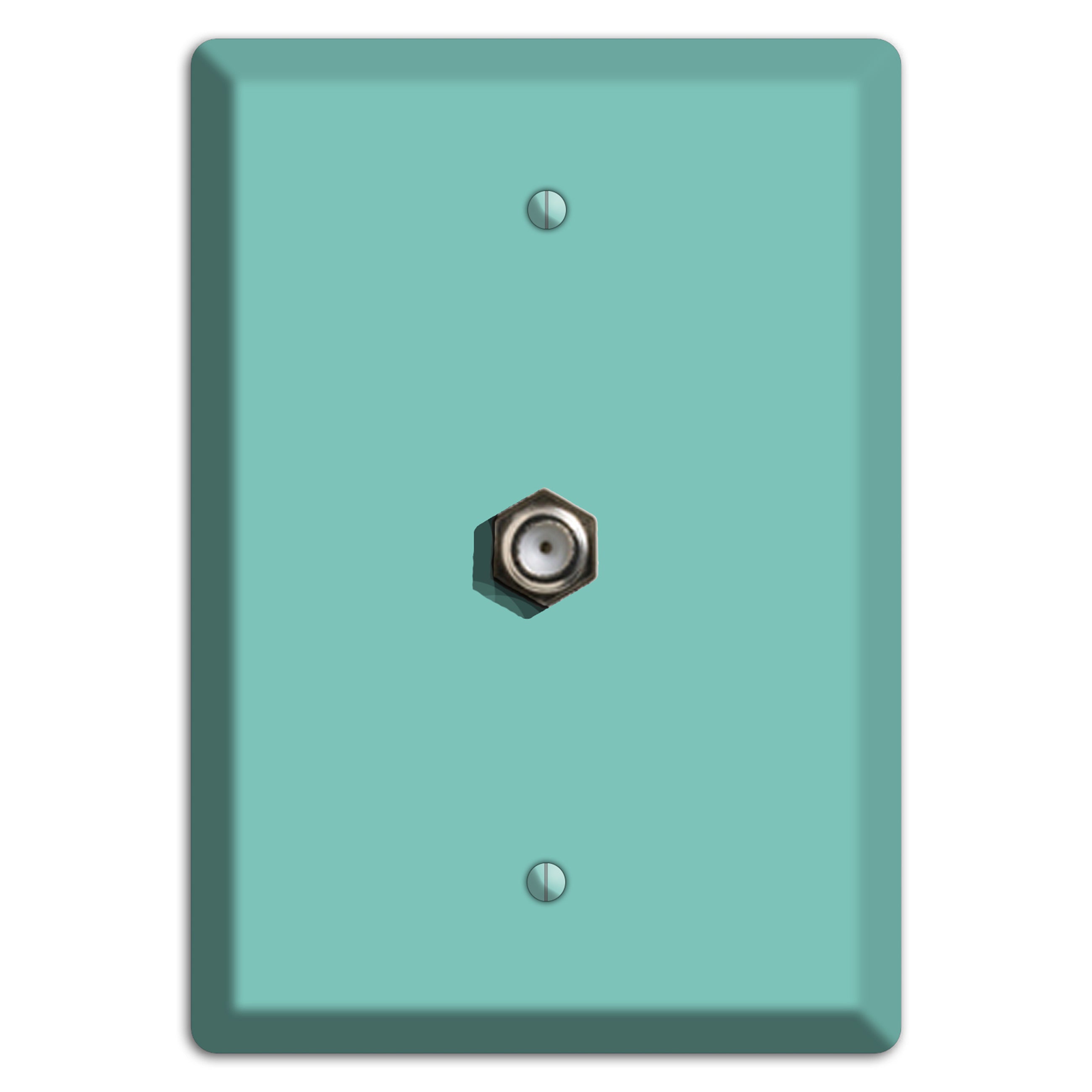 Baxter Seafoam Cable Wallplate