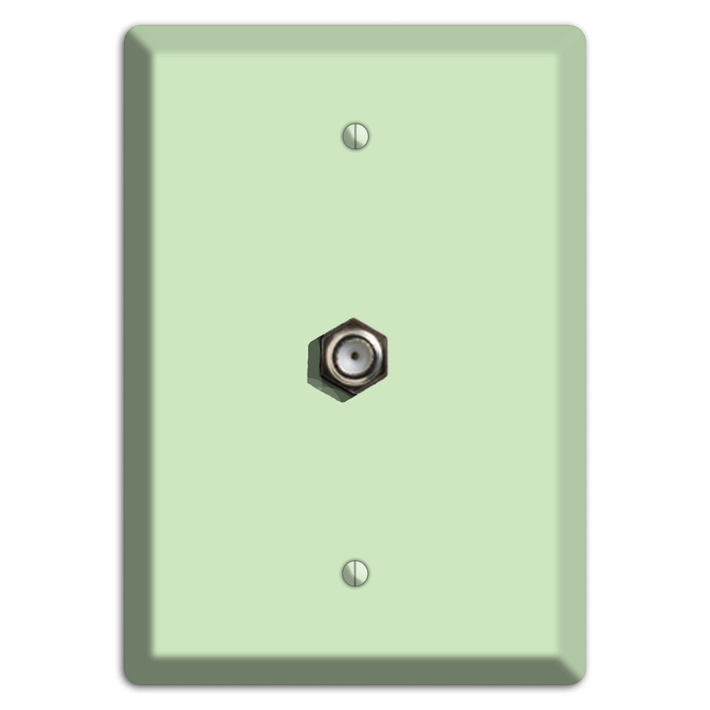 Baxter Mint Cable Wallplate