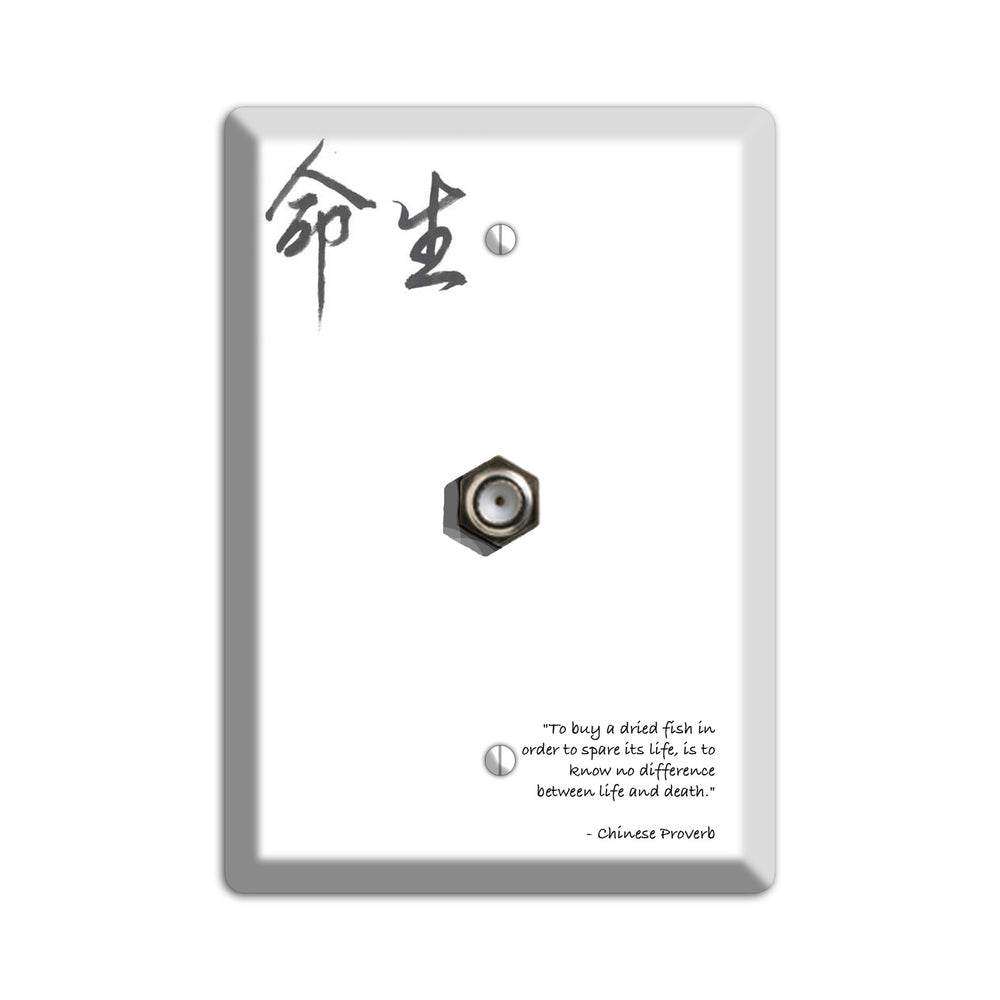 Life Chinese Proverbs Cable Wallplate
