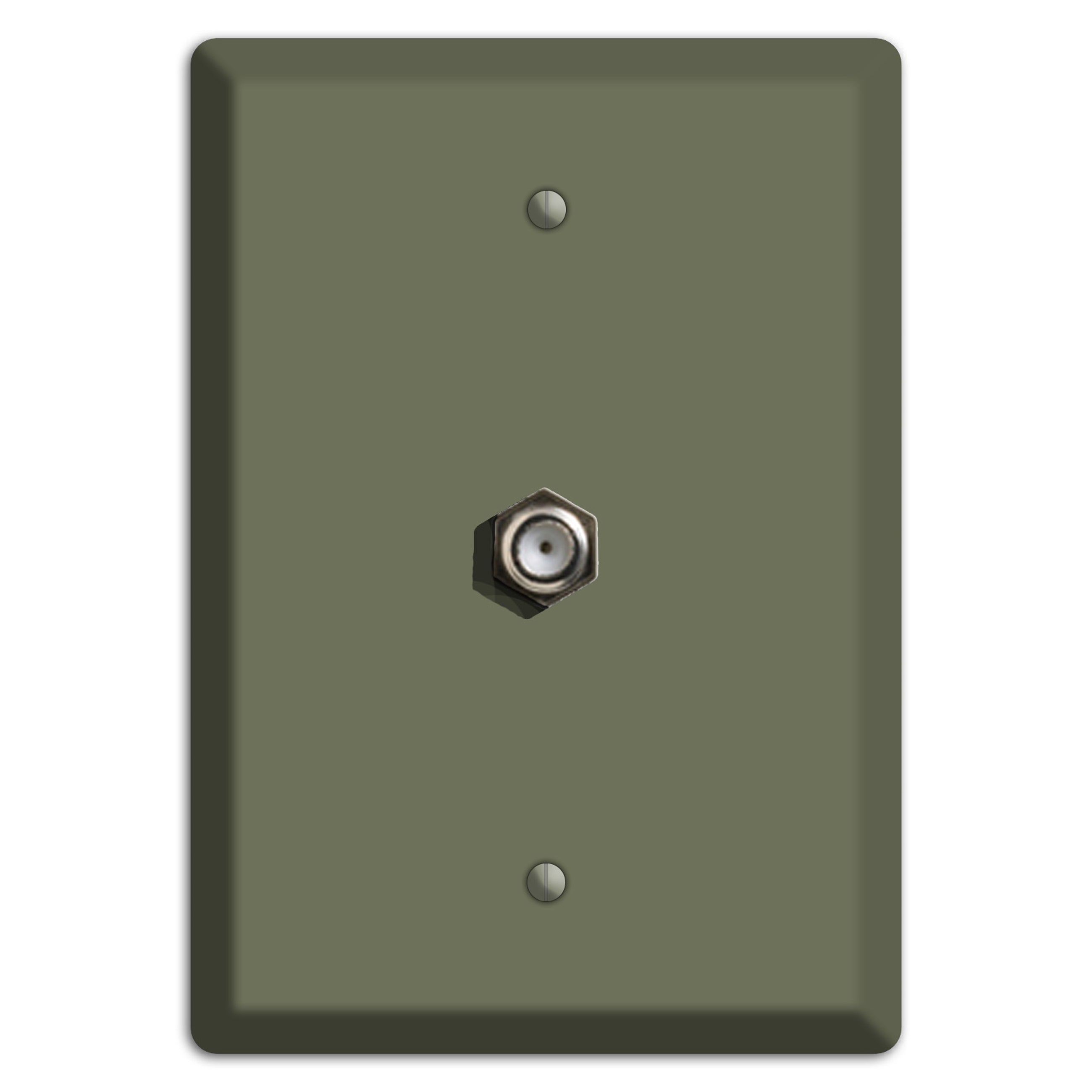 Baxter Eucalyptus Cable Wallplate