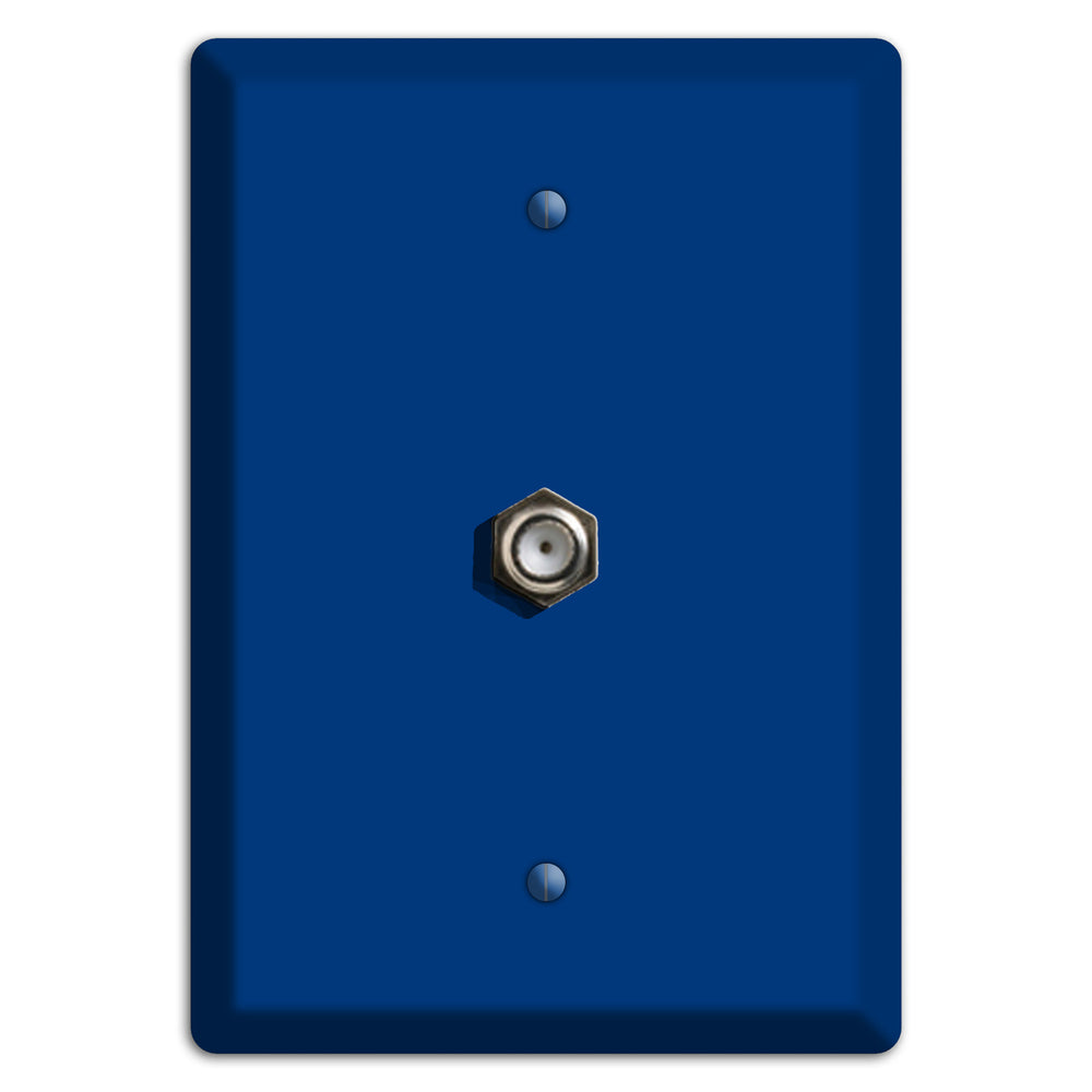 Baxter Simply Blue Cable Wallplate