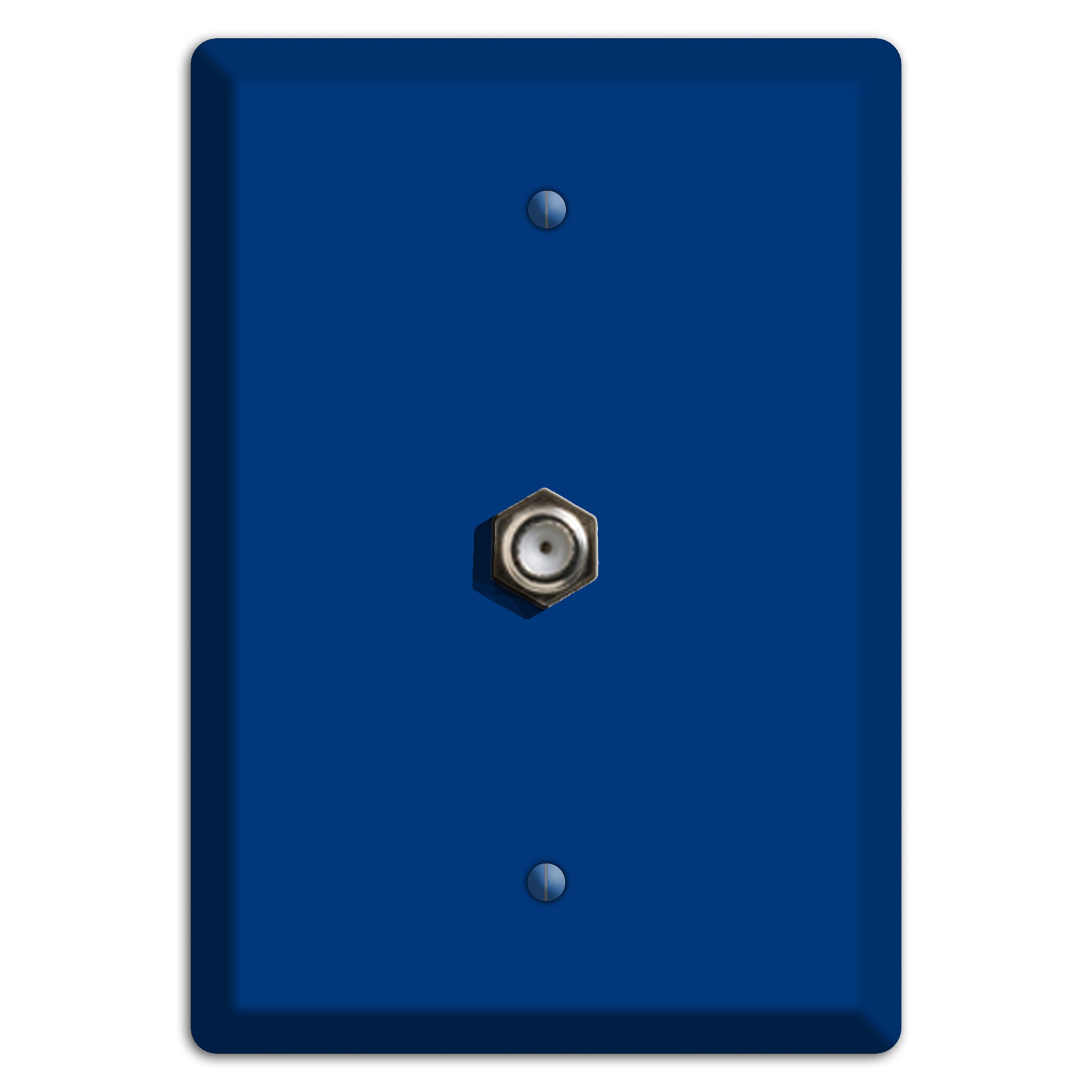 Baxter Simply Blue Cable Wallplate