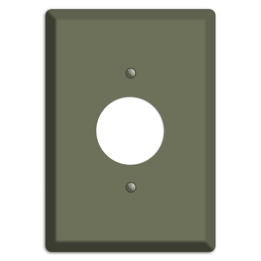 Baxter Eucalyptus Single Receptacle Wallplate