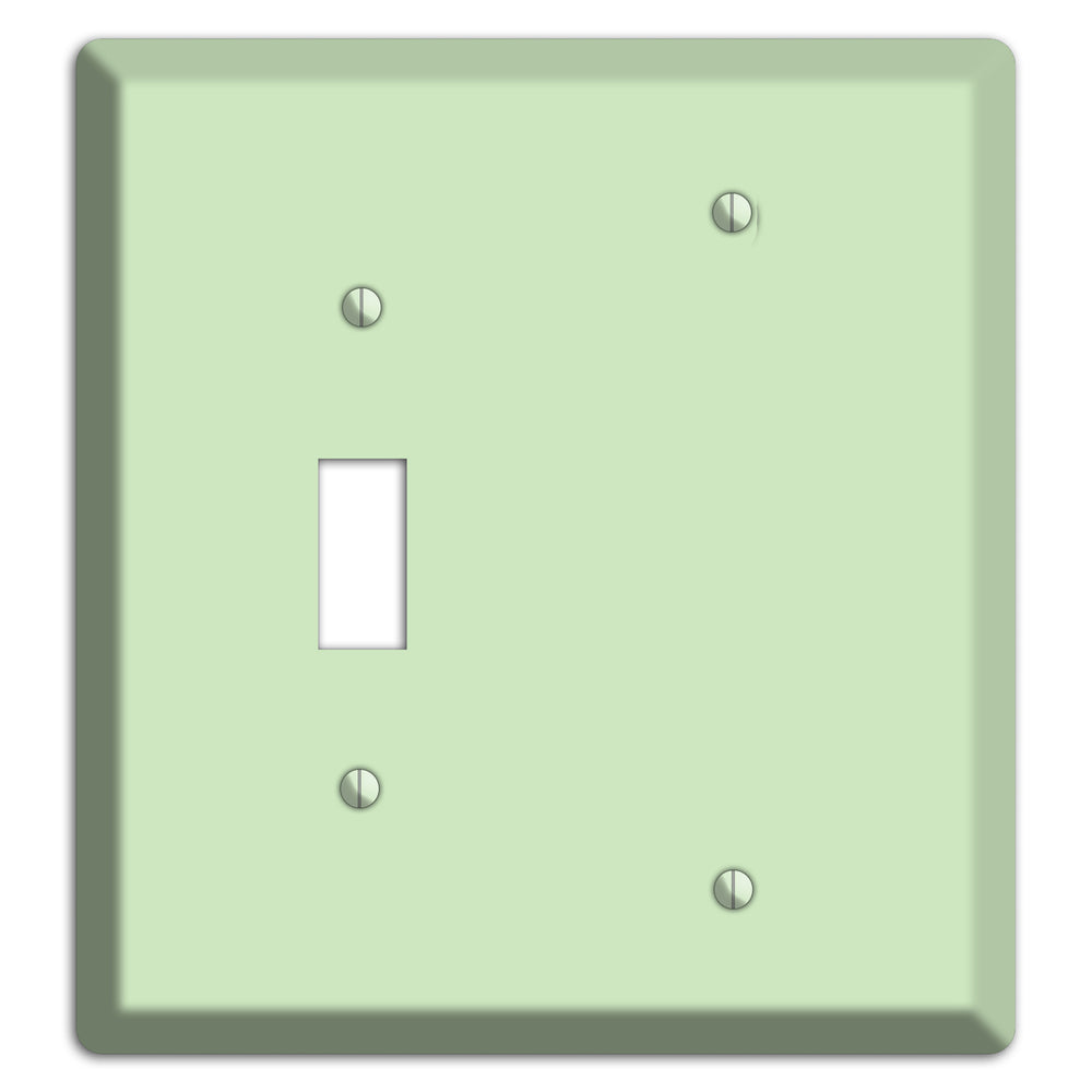 Baxter Mint Toggle / Blank Wallplate
