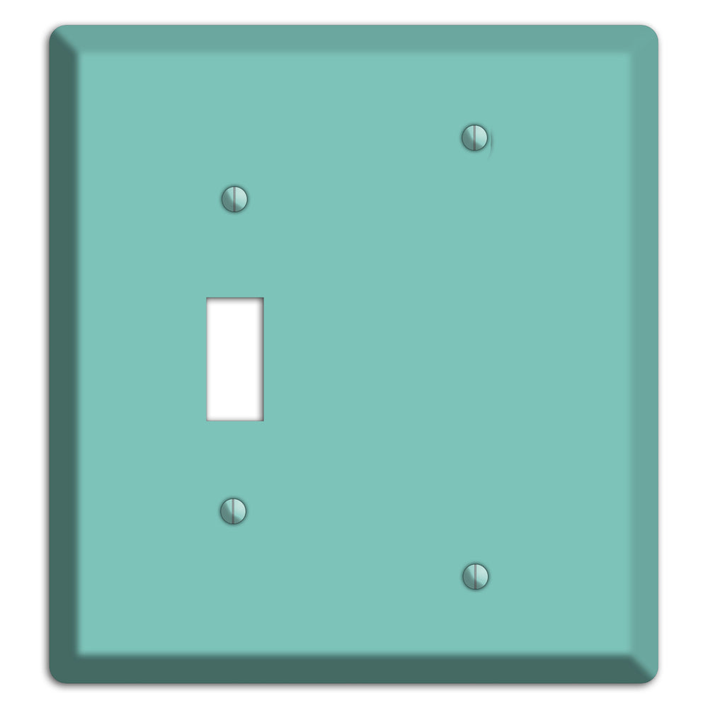 Baxter Seafoam Toggle / Blank Wallplate