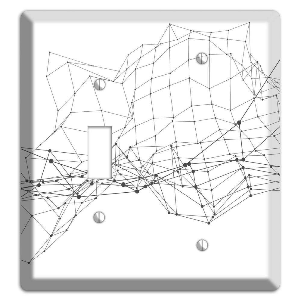 Phantom Mesh Drift Toggle / Blank Wallplate