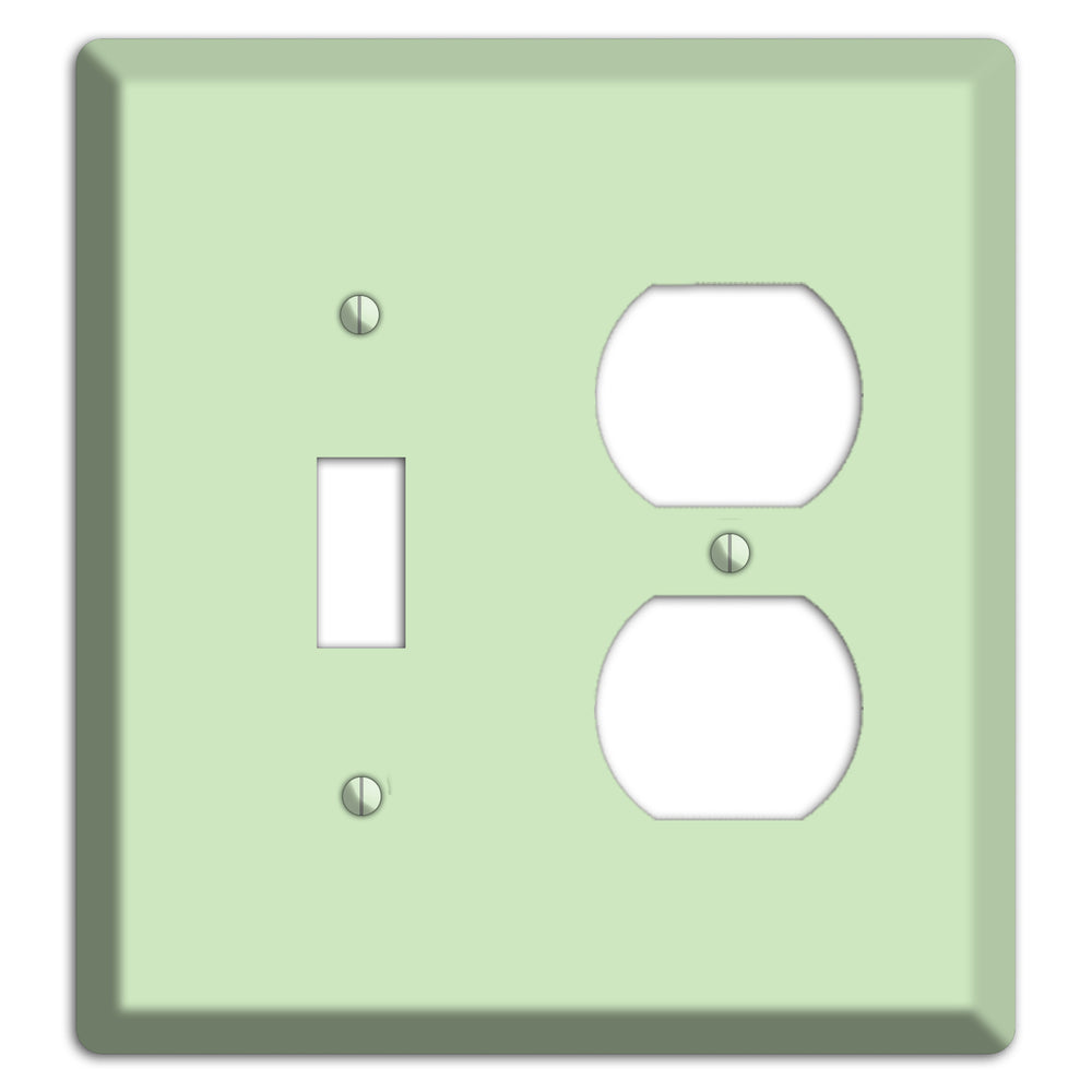 Baxter Mint Toggle / Duplex Wallplate